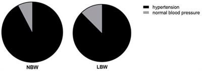 Maternal risk factors and neonatal outcomes associated with low birth weight